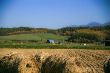 牧草ロールのある田舎の風景