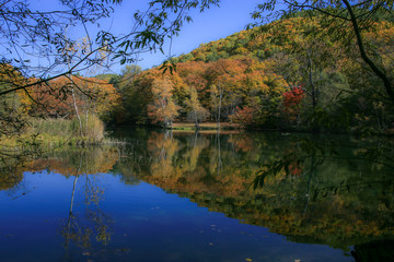 紅葉の山リフレクション