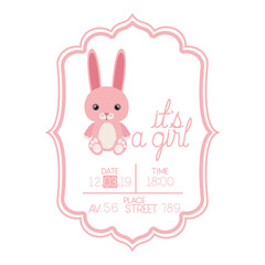 cute little rabbit in its a girl frame