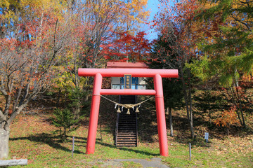 赤い鳥居と紅葉