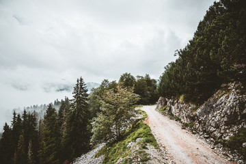 Obraz premium road in the mountains