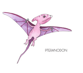 Watercolor and graphic hand painted dinosaurs Triceratops, Brachiosaurus, Stegosaurus, Pteranodon, Hypacrosaurus, Tyrannosaurus on white background © Анна Егорова