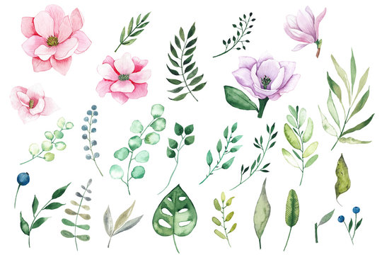 Watercolor elements clipart with pink and lilac tropical flowers magnolias and leaves