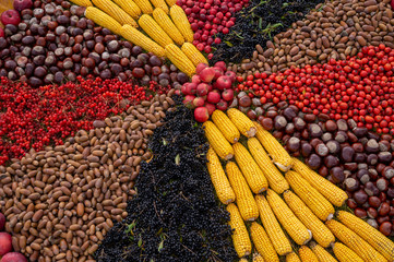 Colorful palette of fresh vegetables and berries