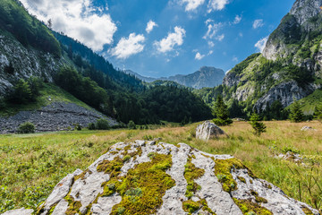 View in the mountains