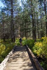 Obraz premium Yosemite Fall 2019