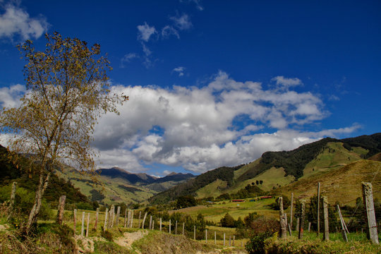 Palomar Anzoategui