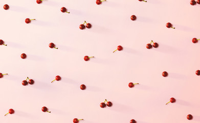 Collection of small red berries - flat lay