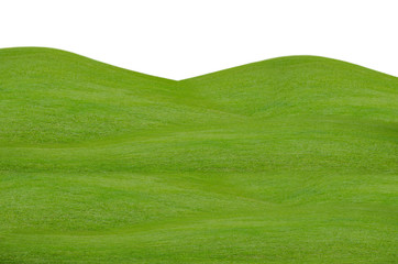 Obraz premium Green grass field isolated on white background with clipping path.