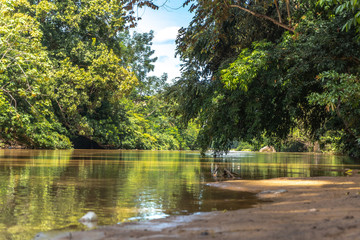 Rio en la mitad de la selva tropical