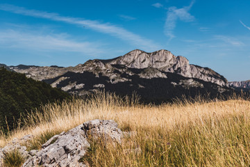landscape in mountains © Zoran Jesic