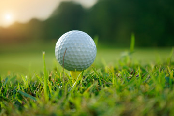 Golf ball on tee in beautiful golf course