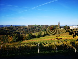 S&uuml;dsteirische Weinstra&szlig;e im Herbst