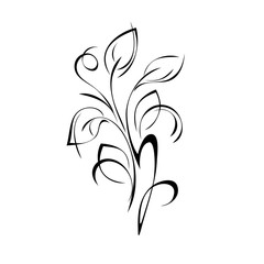stylized twig with leaves and curls in black lines on a white background