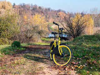 Fototapeta na wymiar yellow rent-a-bike parked on forest road at sunny autumn day