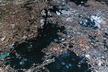 wasted or spoiled food and other refuse, as from a kitchen or household. 3