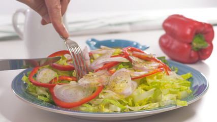 Vegetable salad on a plate, close up on white background. Fresh organic romaine lettuce, red pepper, onion, some seasoning, and olive oil.