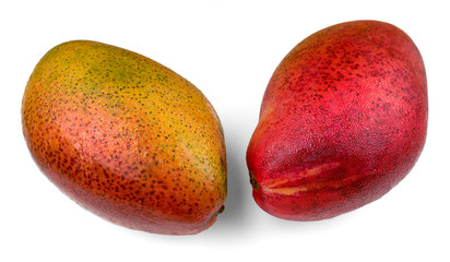 Chilled mango out of the fridge with condensate droplets isolated on white background. Fresh bright fruits.