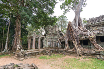 Scenic ruins of Angkor Wat Temple complex in Cambodia