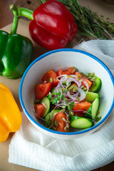 fresh salad with tomatoes and mozzarella