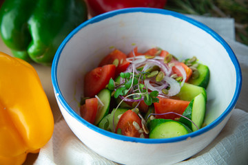 fresh salad with tomatoes and mozzarella
