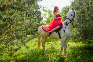 Girl in beautiful red dress on white horse in Park or forest. Photo shoot models and fashion