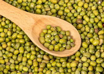 Green grains mung