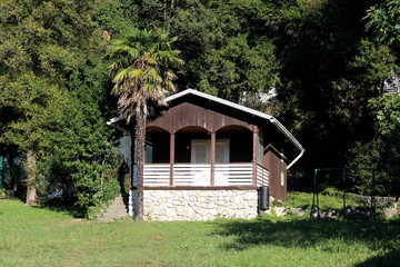 Fototapeta na wymiar Brown and white small wooden cabin with front porch on stone foundation surrounded with palm tree uncut grass and dense trees in background on warm sunny summer day