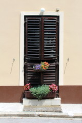 Family house backyard entrance closed with wooden blinds with Begonia and other plants planted in flower pots in front on warm sunny summer day