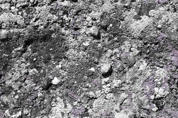 grunge rough mossy rock texture - beautiful abstract photo background