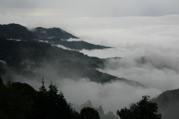 fog in the mountains