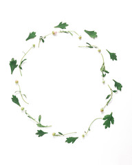 floral concept. wreath of chrysanthemum flower buds and green leaves on a white background. copy space, top view, vertical frame