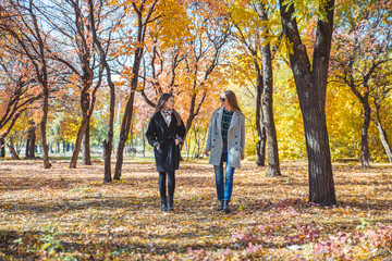 Fototapeta premium two girlfriends walking by autumn city park