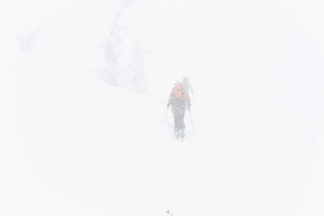 snow white mountain, back country, japan