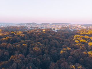 aerial view of autumn city park on sunset