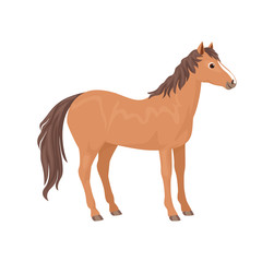 Brown horse isolated on a white background. Vector illustration of a cute animal in a simple cartoon flat style.