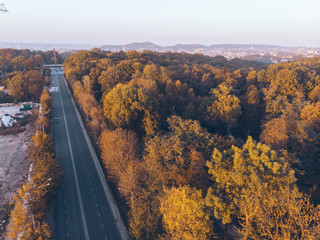 aerial view of autumn city park on sunset