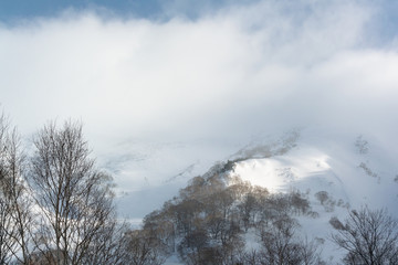 snow white mountain, back country, japan