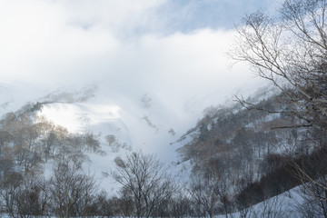 Obraz na płótnie Canvas snow white mountain, back country, japan