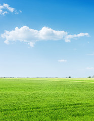 green grass agriculture field and blue sky with clouds over it