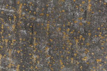 Old cement dirty wall background. Cement wall with yellow moss.