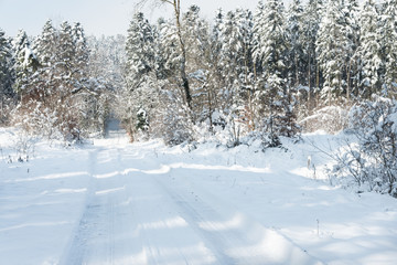 chemin avec de la neige en hiver en forêt dans le jura à Arbois