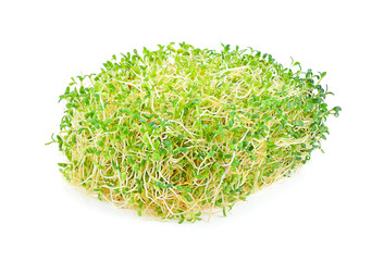 Alfalfa sprout on white background
