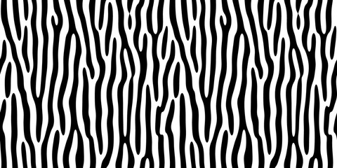 Zebra black and white stripes abstract background. Seamless pattern.