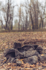 Extinct bonfire. Extinguished bonfire in the autumn forest. Prepared campfire site. Fireplace with stones. 