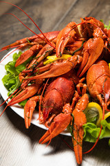 lobster on a plate