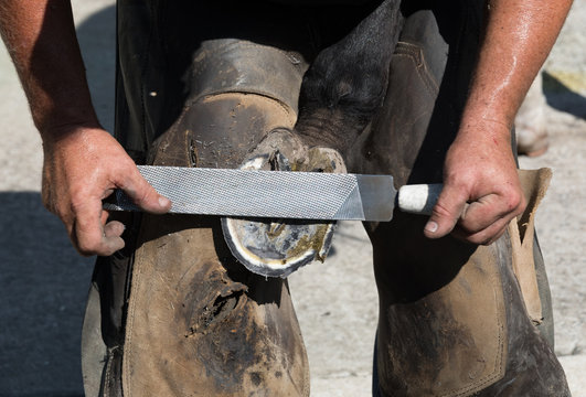 Farrier At Work