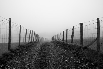 caminos niebla gris 