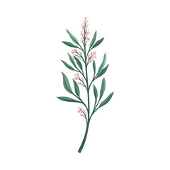 Thin branch with pink small flowers. Vector illustration on a white background.