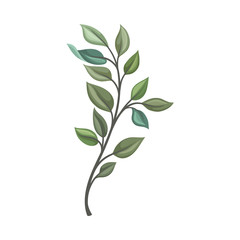 Thin stem with leaves. Vector illustration on a white background.